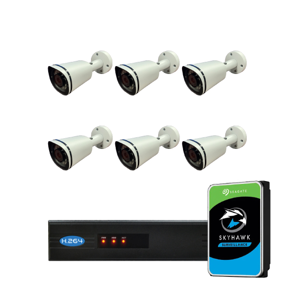 PZ-5286-2T (5MP 8ch NVR + 6 x 5MP Compact Bullet Camera + 2TB HDD)